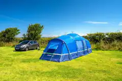 Non electric grass pitches backed by a hedge Non electric grass pitches backed by a hedge
