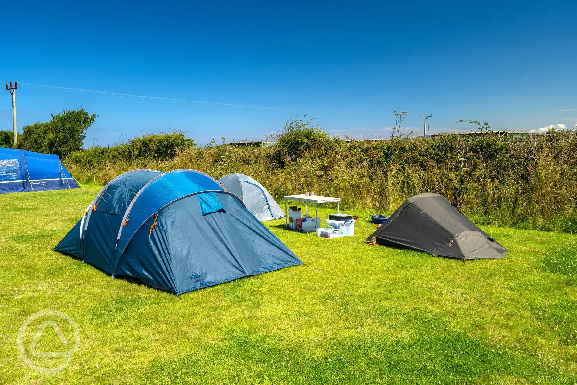 Non electric grass pitches backed by a hedge