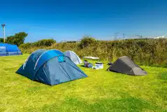 Non electric grass pitches backed by a hedge Non electric grass pitches backed by a hedge
