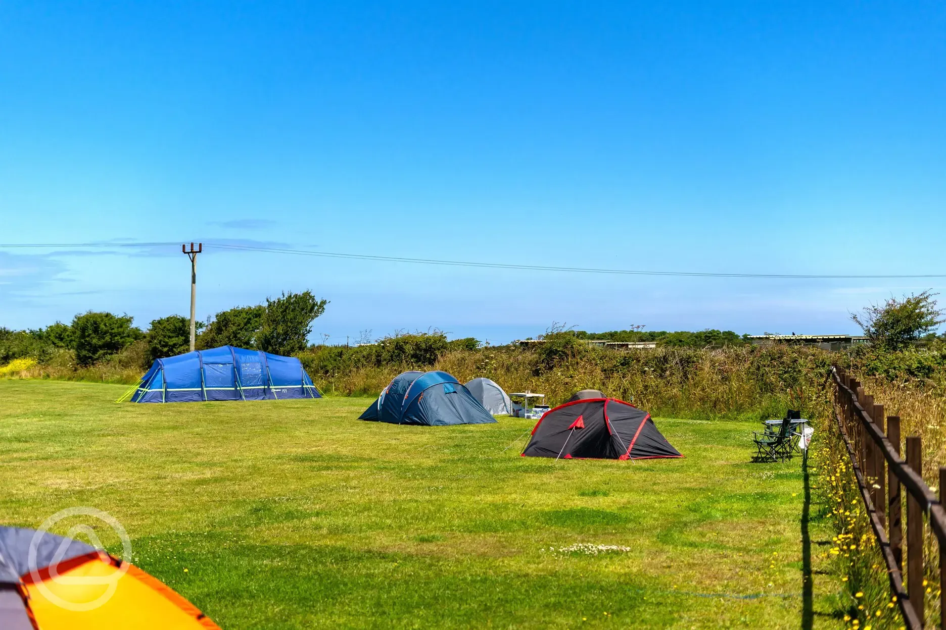 Non electric grass pitches backed by a hedge