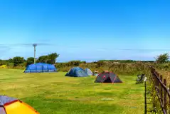 Non electric grass pitches backed by a hedge Non electric grass pitches backed by a hedge