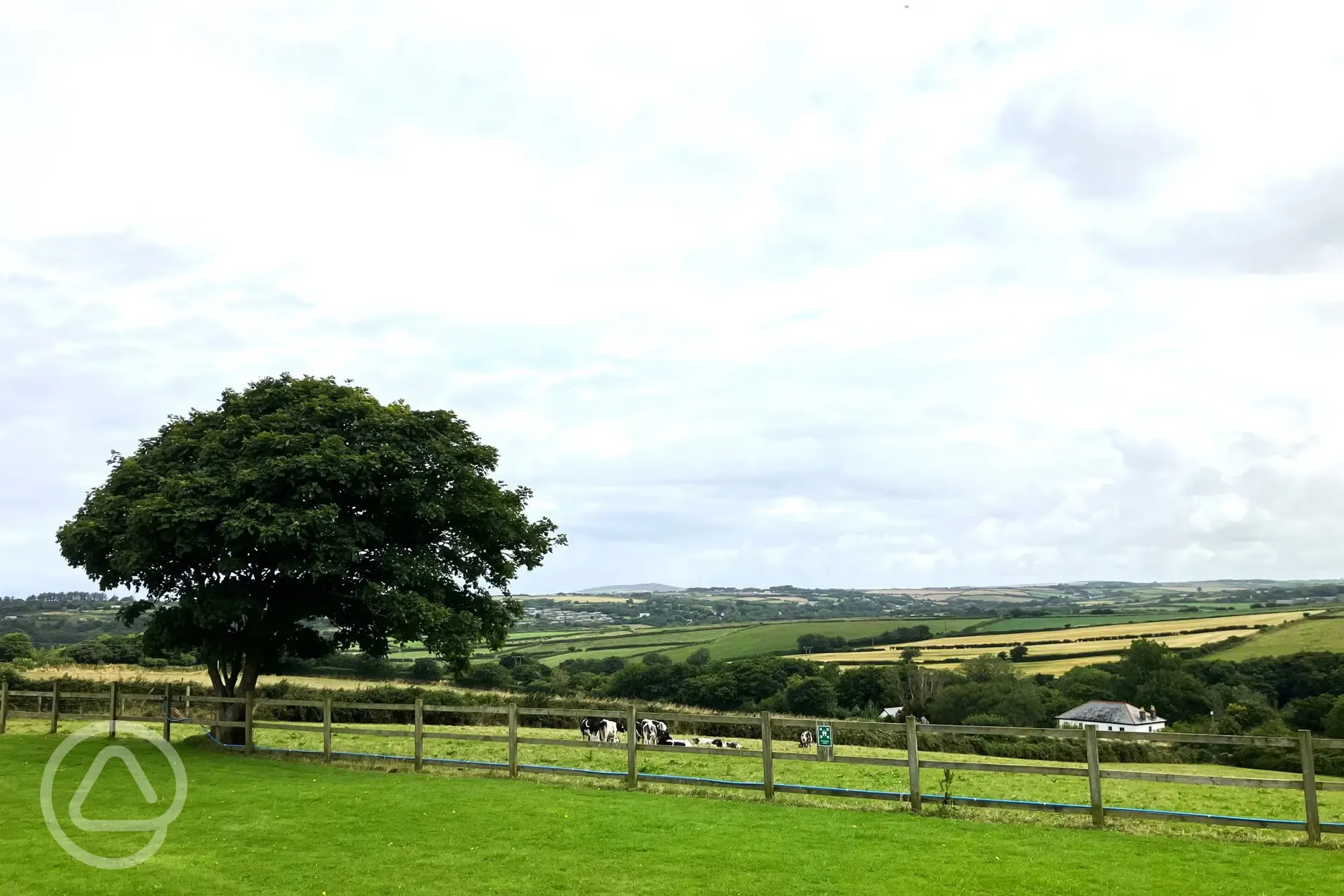 Neighbouring cows and views from the bottom of the meadow