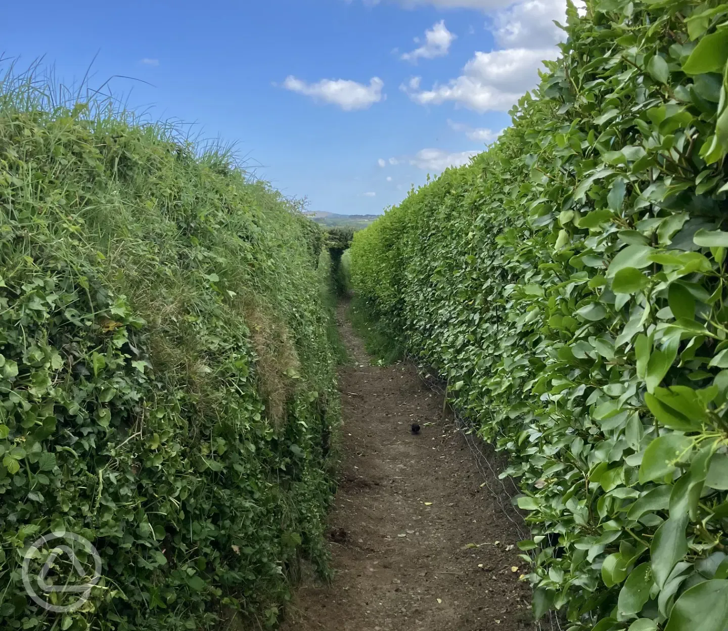 Footpath behind campsite for dog walks