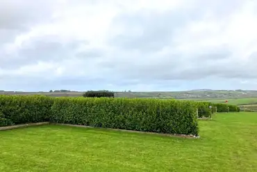 Grass pitches - optional electric