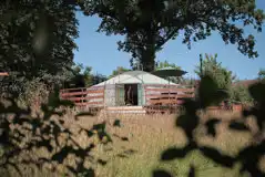 Buzzard yurt