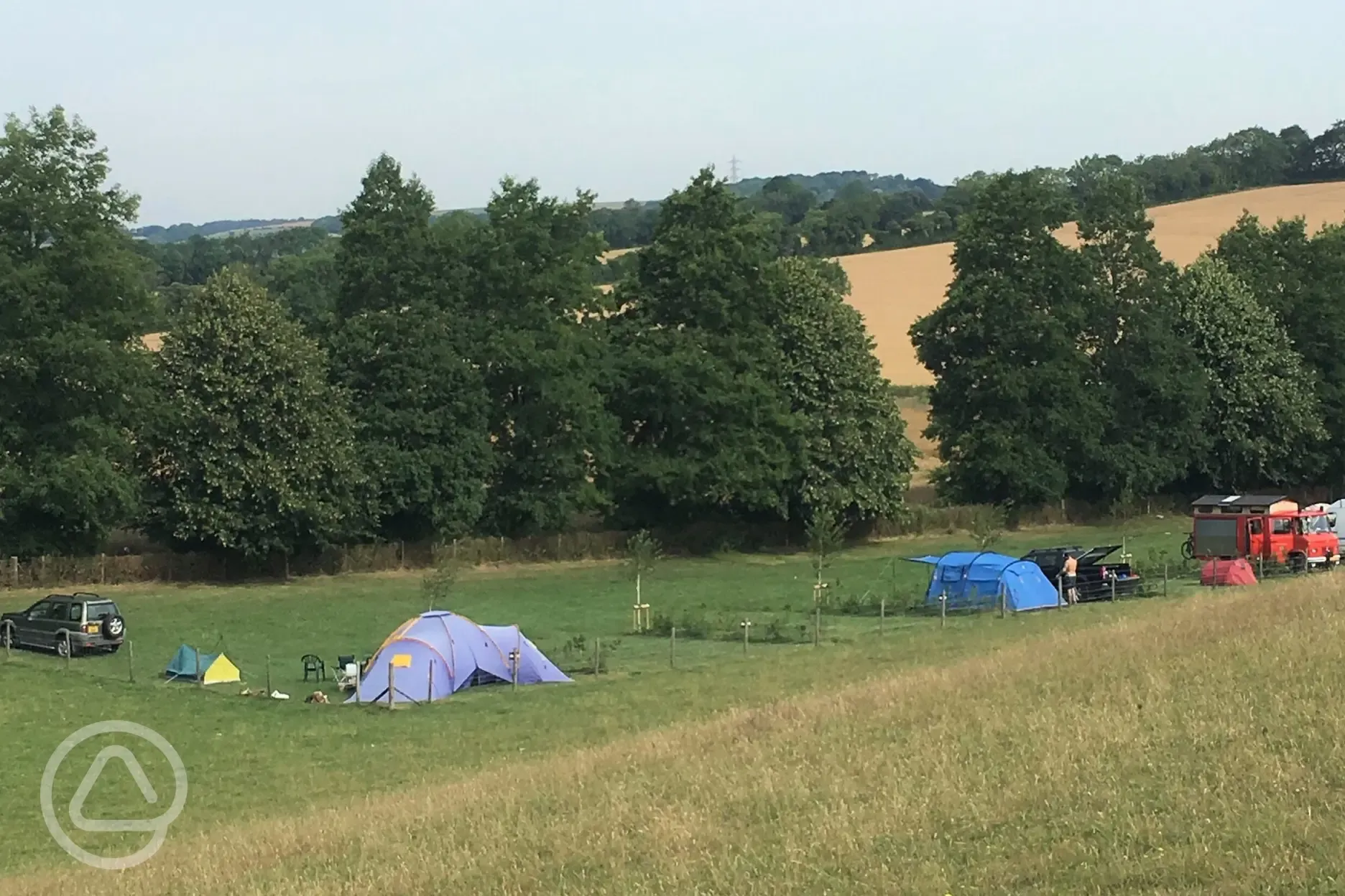 Tents on grass pitches