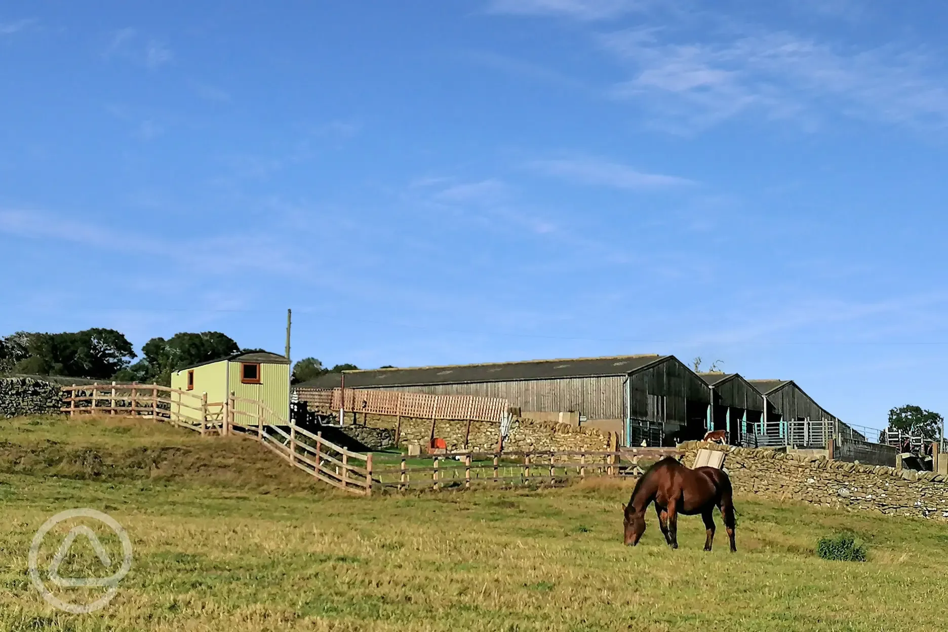 Shepherd's Hut with guest horses