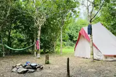 Non electric woodland tent pitch