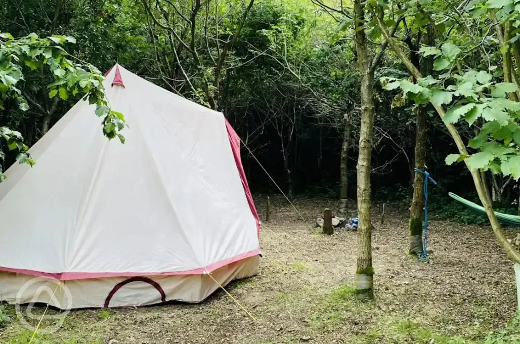 Non electric woodland tent pitch