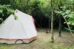 Non electric woodland tent pitch