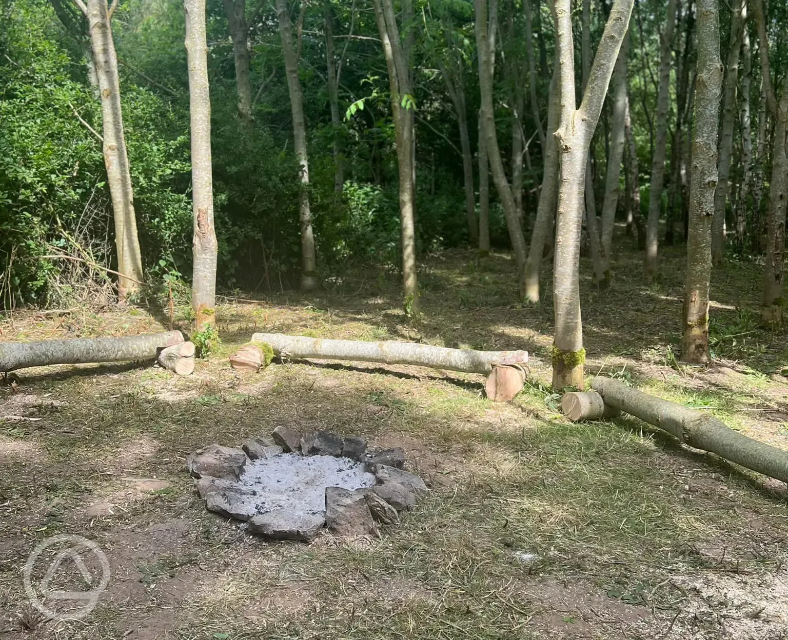 Communal campfire area