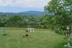 Grass 10m x 9m pitches with 16 amp hook ups