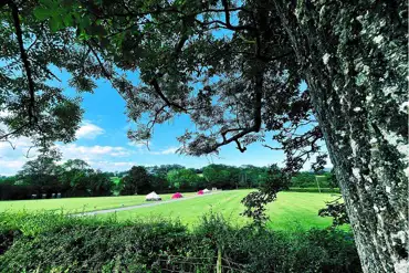 Non electric grass pitches