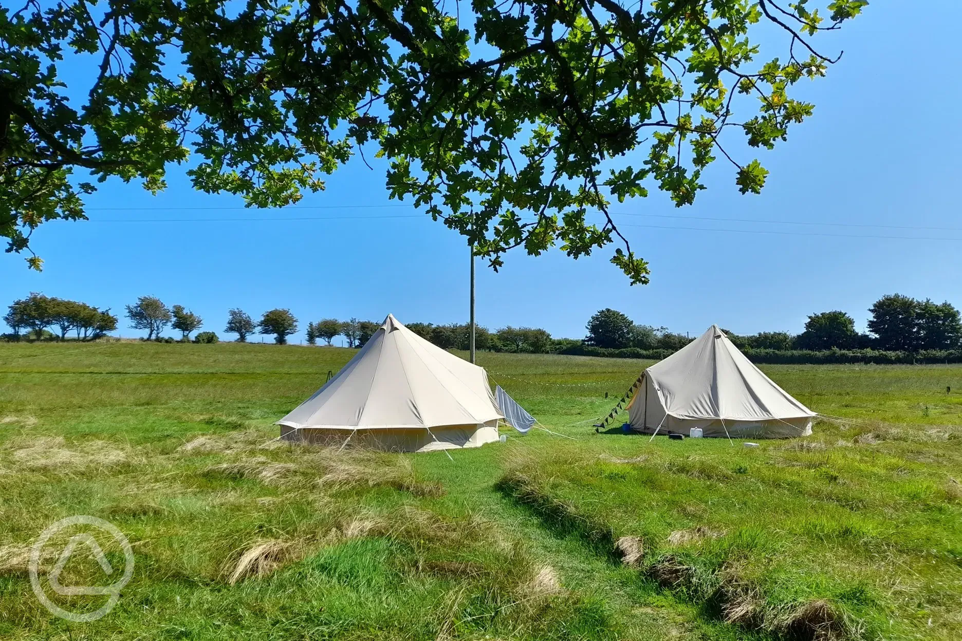 Bell Tents on pitch 5