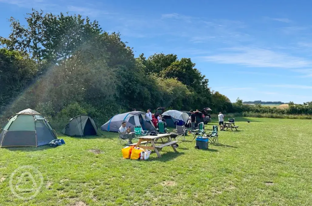 Non electric grass tent pitches