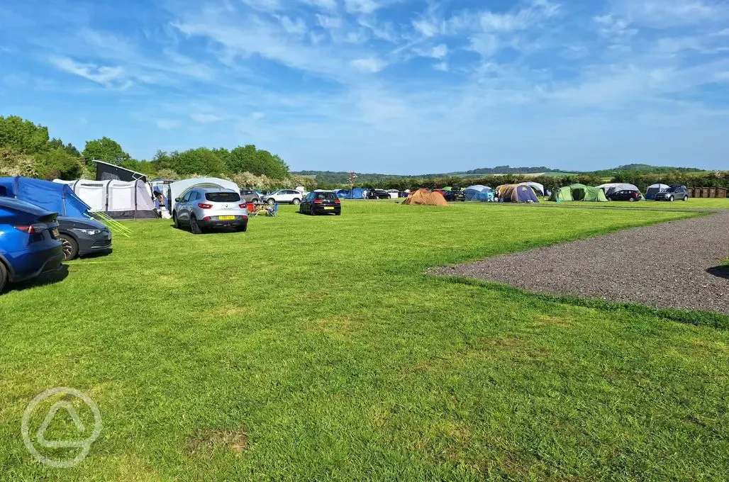 Non electric grass tent pitches