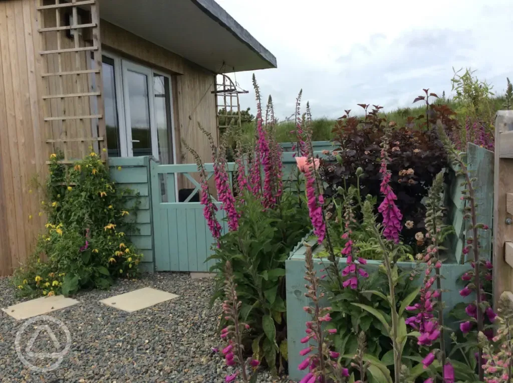 Hedgerow shepherd's hut