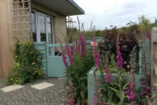 Brynhaul Camping and Shepherds Huts, Maenclochog, Pembrokeshire (8.6 miles)