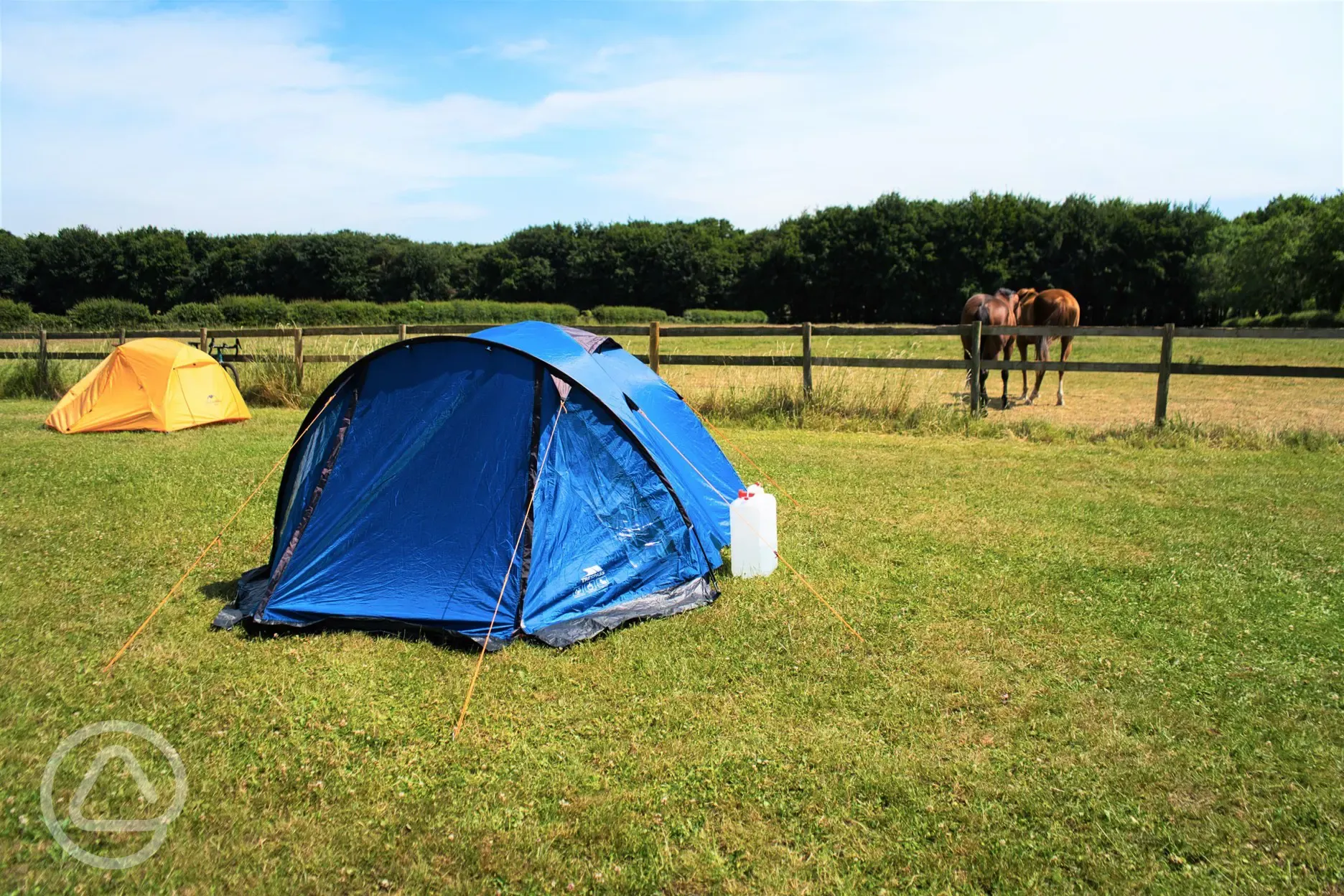 grass camping with horses 