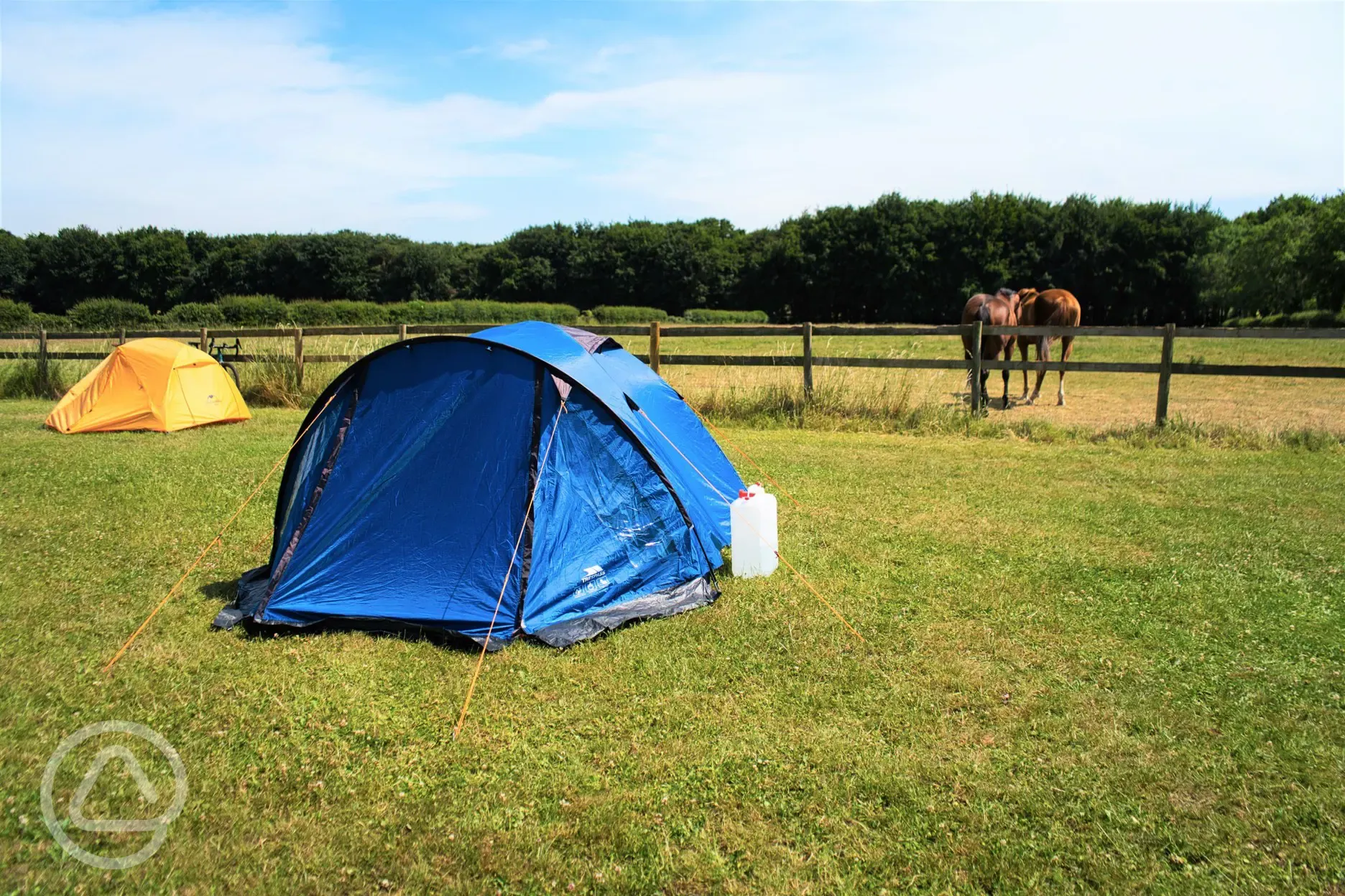 Non electric grass tent pitches and neighbouring horses