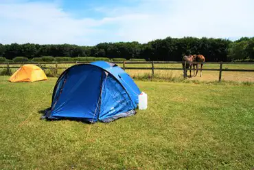 grass camping with horses 