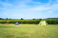 Non electric grass tent pitches