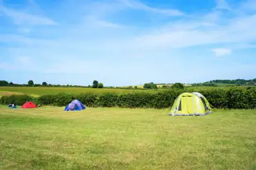 Non electric grass tent pitches