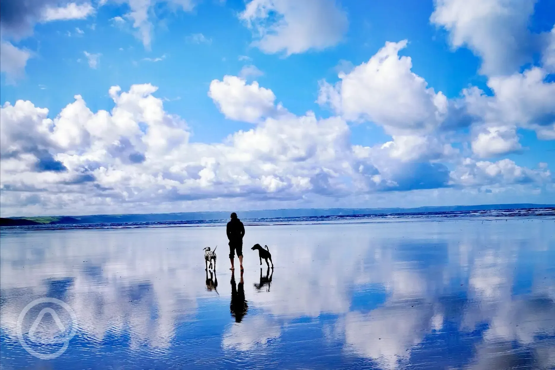 Dog friendly beach nearby