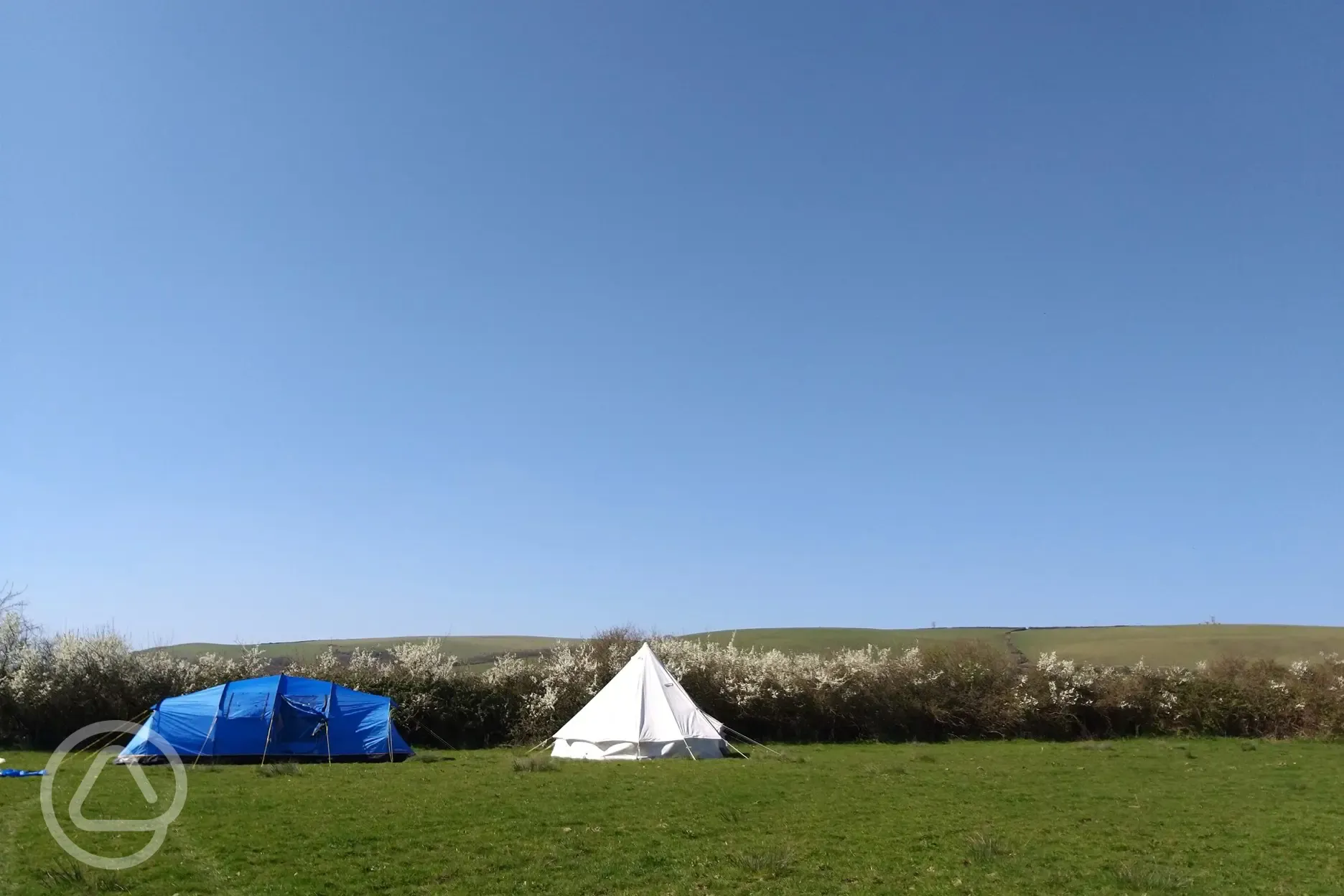 Non electric grass tent pitches