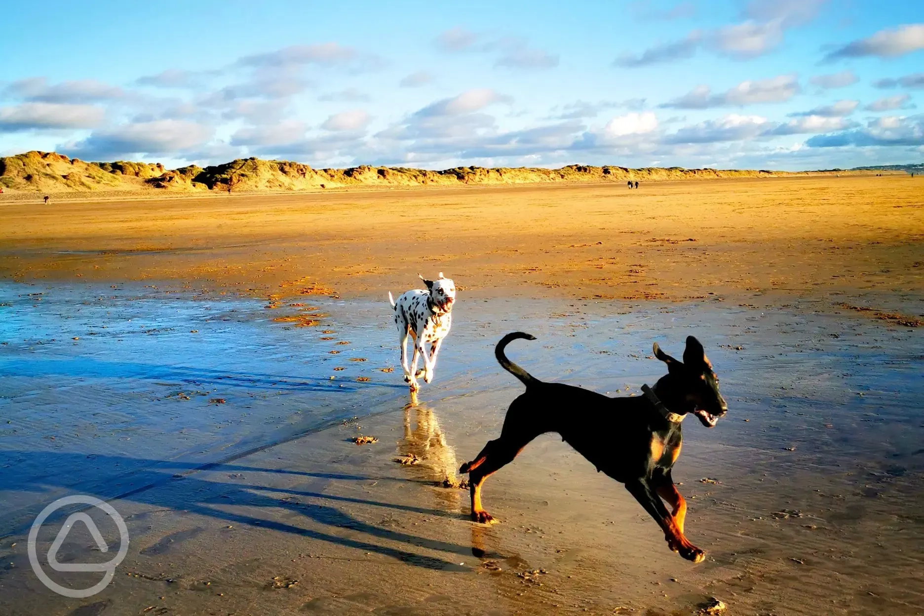 Dog friendly beach nearby