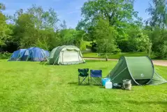 Non electric grass pitches