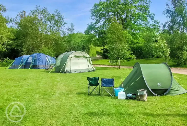 Non electric grass pitches