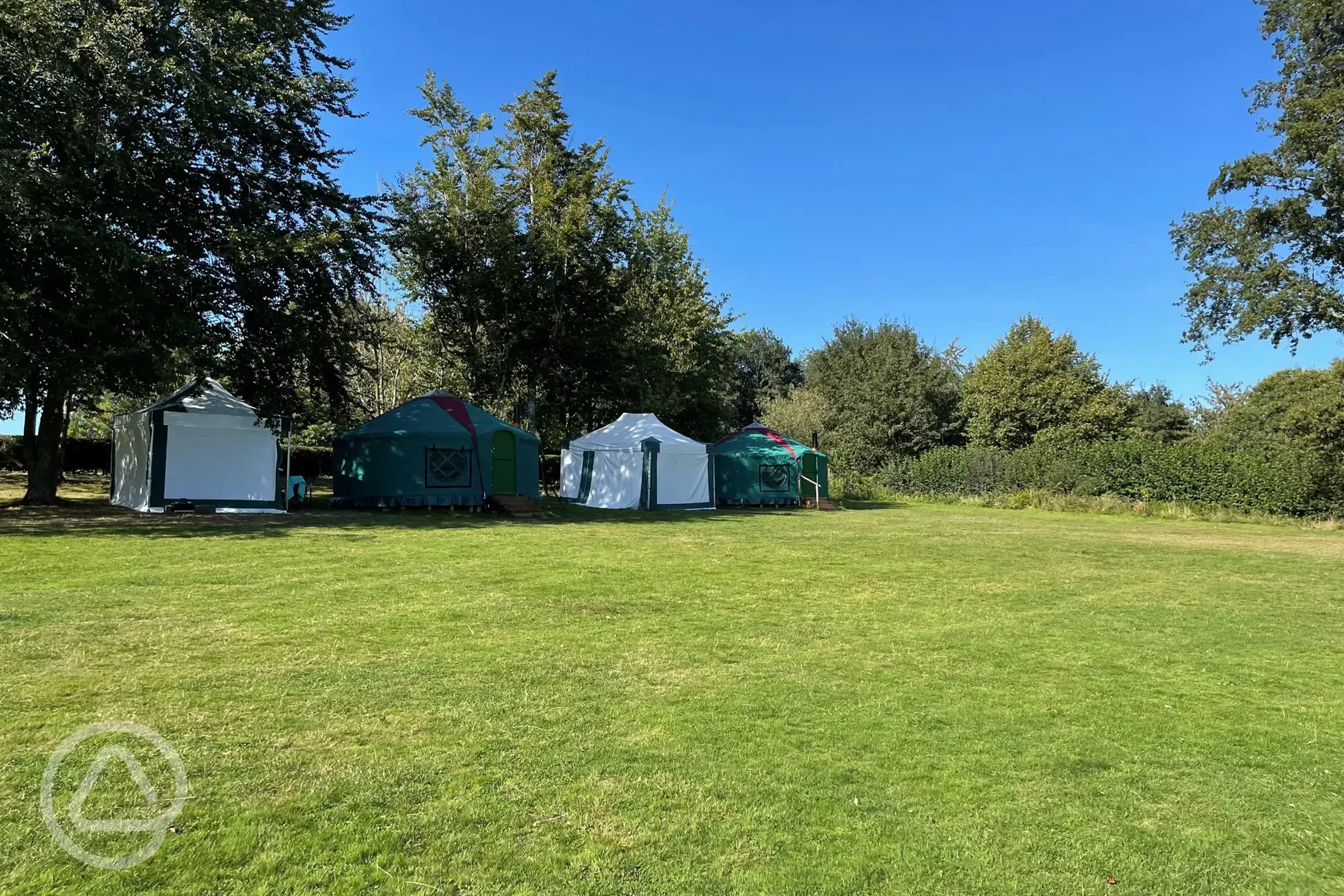 Yurts on site