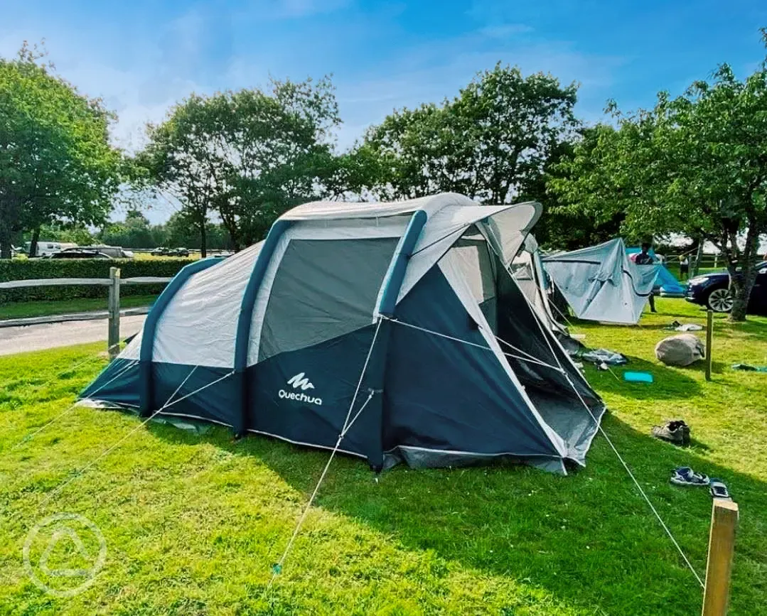 Non electric grass tent pitches 