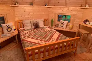 Starry Meadow Glamping, Catfield, Great Yarmouth, Norfolk (7.8 miles)