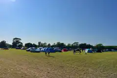 Non electric grass pitches with parking spaces beside tents Non electric grass pitches with parking spaces beside tents