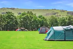 Tents on non electric grass pitches with South Down views Tents on non electric grass pitches with South Down views