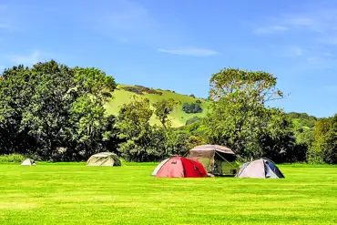 Tents on non electric grass pitches at Bramley Park Camping
