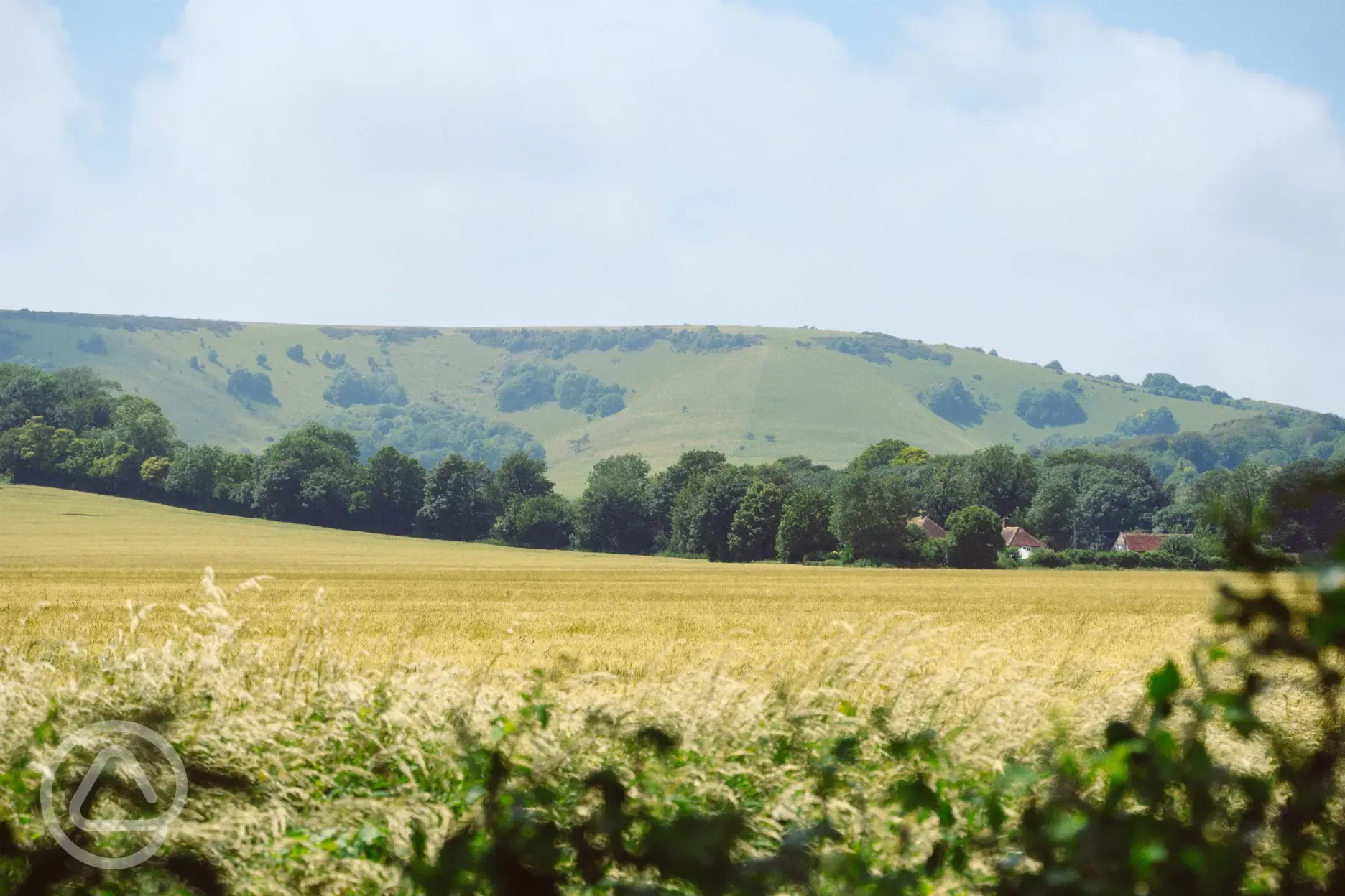 View of the South Downs National Park from Bramley Park Camping