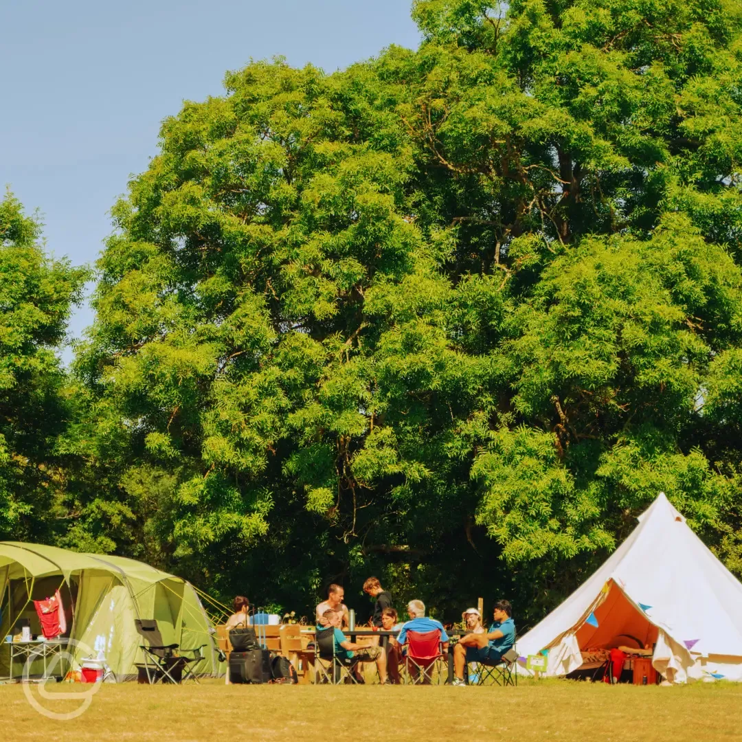Bell tent exterior at Bramley Park Camping