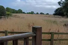 The Woodman's hut view