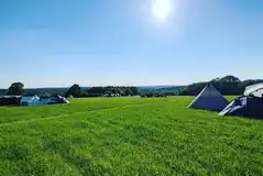 Large non electric grass pitches at Glassenbury Camping Large non electric grass pitches at Glassenbury Camping