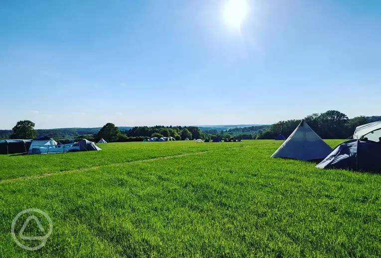Large non electric grass pitches at Glassenbury Camping