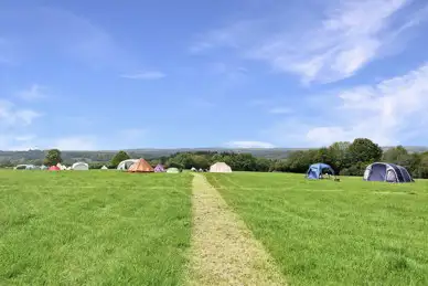 Glassenbury Camping