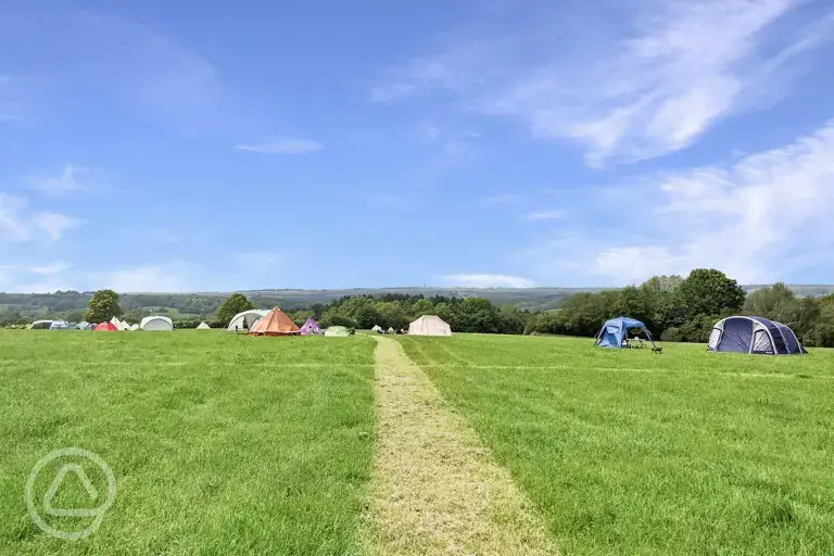 Large non electric grass pitches