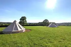Bell tents at Glassenbury Camping Bell tents at Glassenbury Camping