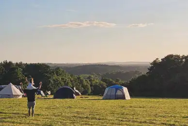 Glassenbury Camping