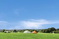 Large non electric grass pitches at Glassenbury Camping Large non electric grass pitches at Glassenbury Camping