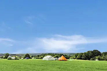 Large non electric grass pitches at Glassenbury Camping