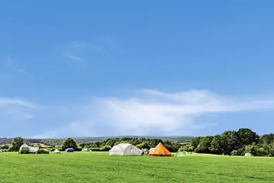 Glassenbury Camping Glassenbury Camping